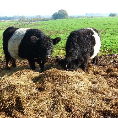 Kristiansminde Farm Holiday Tistrup المظهر الخارجي الصورة