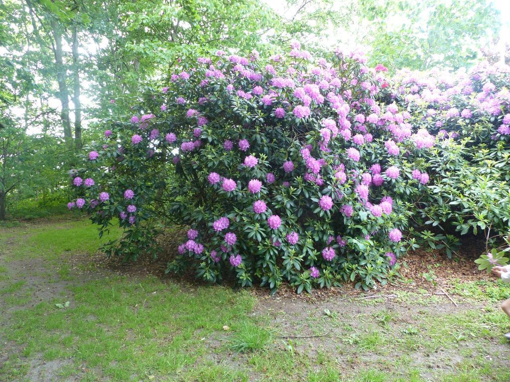 Kristiansminde Farm Holiday Tistrup المظهر الخارجي الصورة