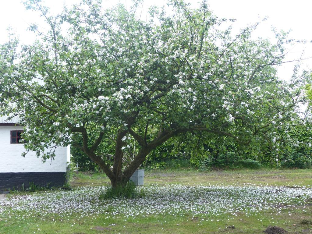 Kristiansminde Farm Holiday Tistrup المظهر الخارجي الصورة