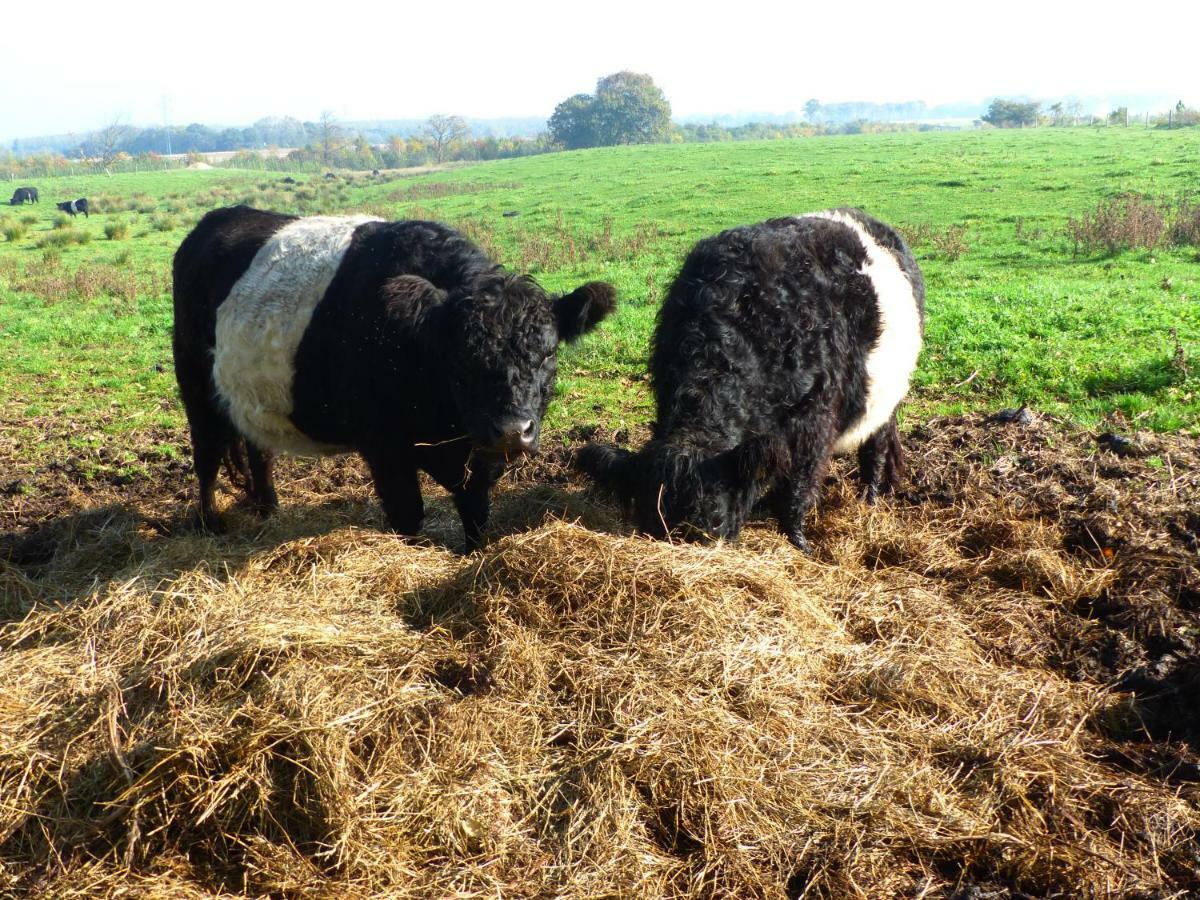 Kristiansminde Farm Holiday Tistrup المظهر الخارجي الصورة